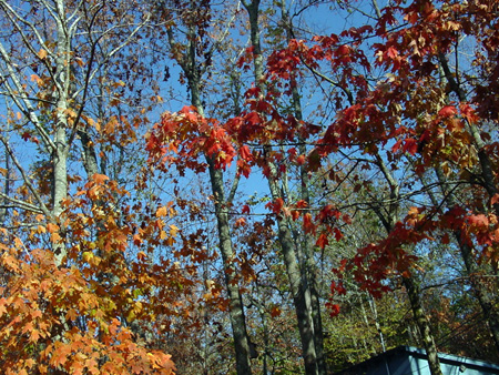 DSC06337