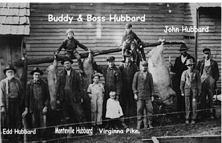 hubbhogs