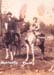 Horses3hubb
