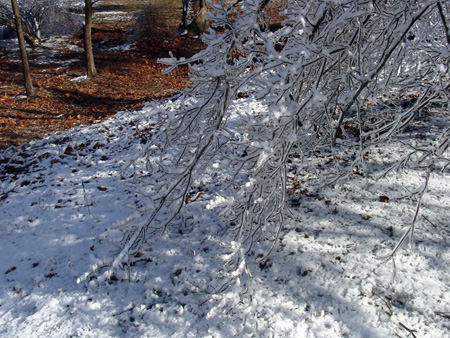 DSC07055 copy