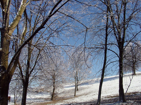 DSC07067 copy