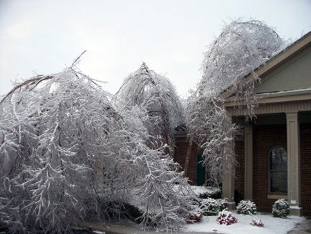 Ice 8 copy