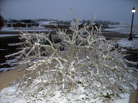 Ice5 copy