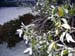 100_0305 copy