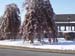 100_3611 copy