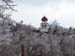 100_3620 copy