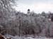 100_3621 copy