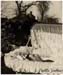orville Jenkiins